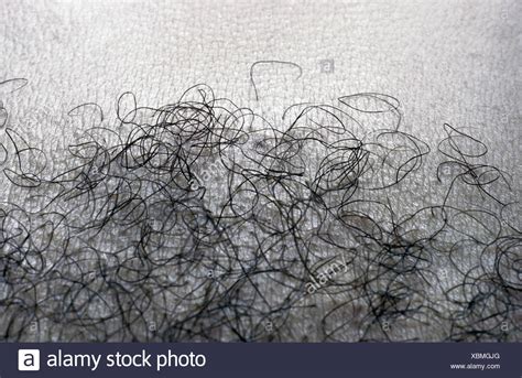 nude pubic hair|Pubic Hair Images – Browse 2,783,270 Stock Photos, Vectors,。